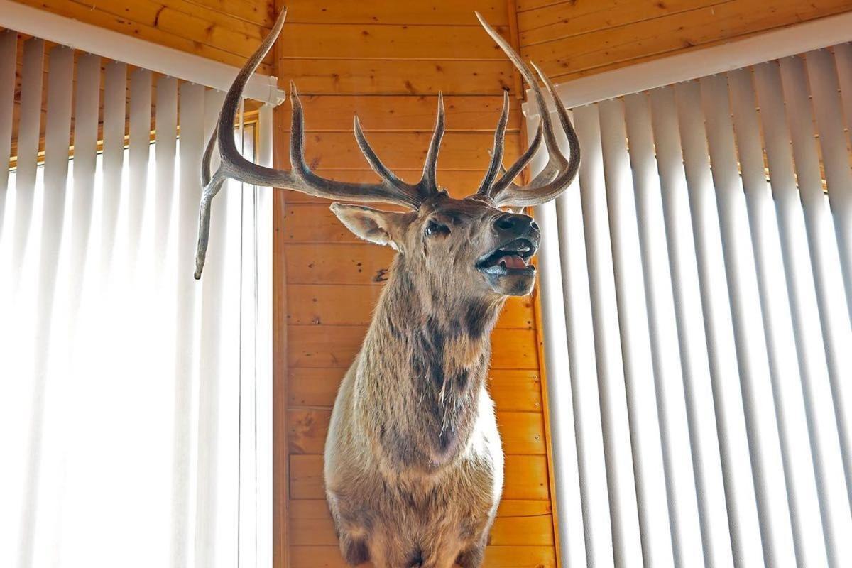 Alpine Mountain Top Home サウス・フォーク エクステリア 写真