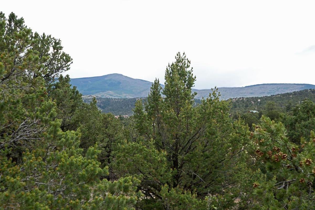 Alpine Mountain Top Home サウス・フォーク エクステリア 写真